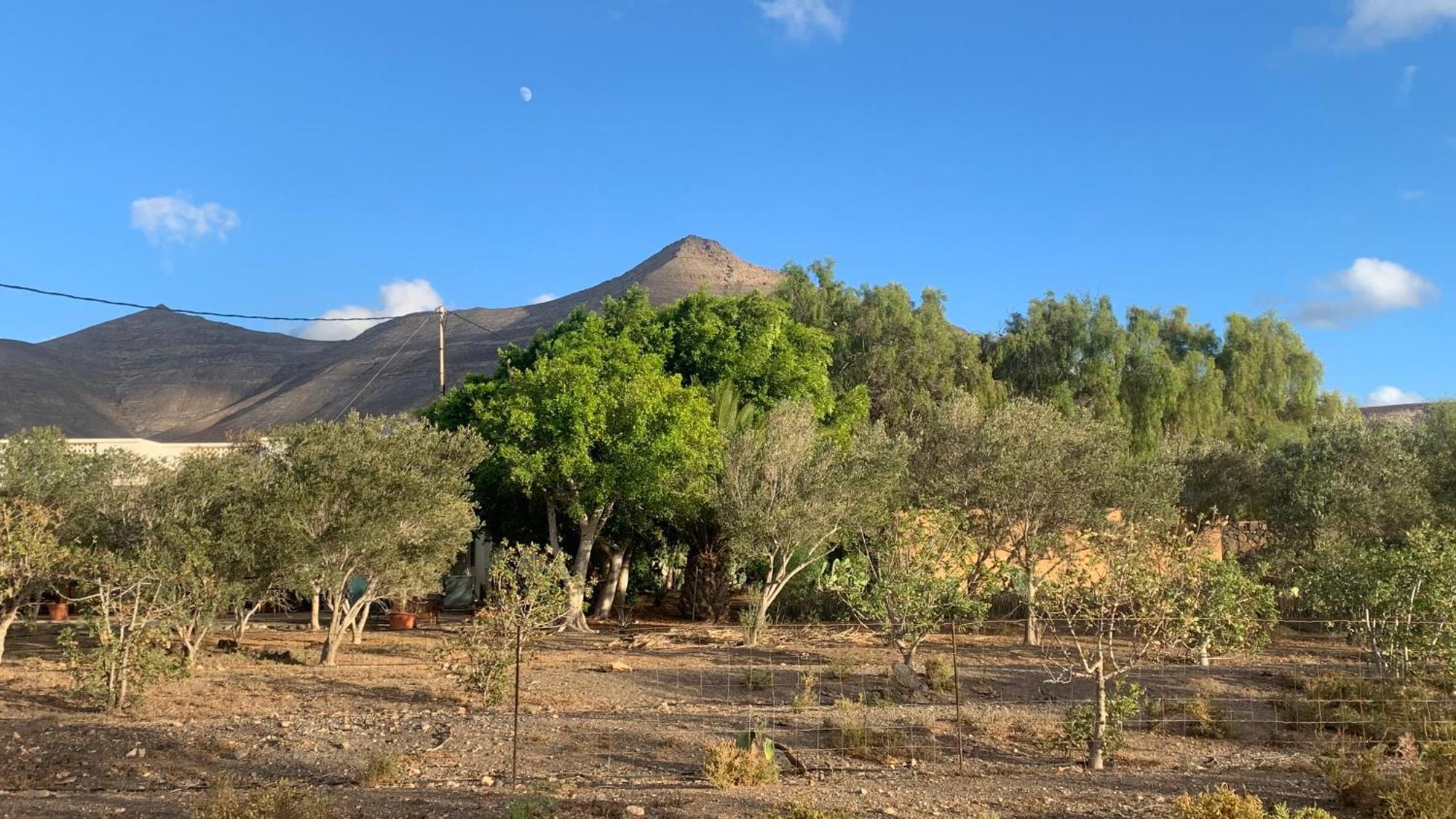 La Finca De Los Padres Tefia Bagian luar foto